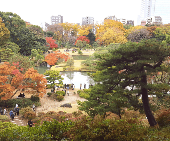 Vista dall'alto del parco Rikugien di Tokyo. Sullo sfondo i grattacieli di Komagome